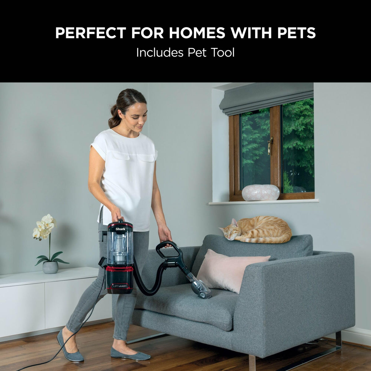 Shark Corded Upright Vacuum Cleaner 1.1L with Lift-Away Technology, Pet Model, LED Headlights, Anti-Allergen, 8m Cord, 750W, Pet